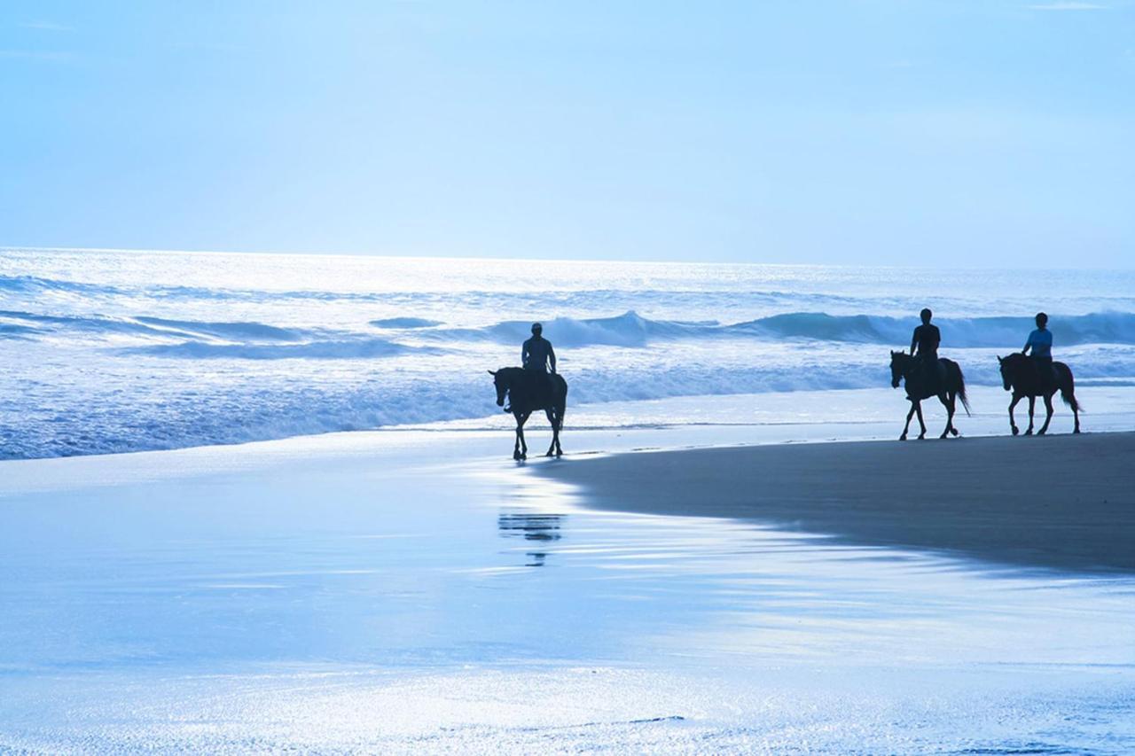 Miramar Beach Home Walk To Beach Trails Restaurants Family Activities Half Moon Bay Eksteriør billede