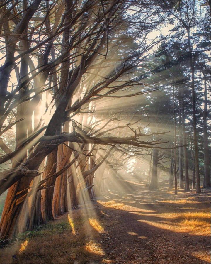 Miramar Beach Home Walk To Beach Trails Restaurants Family Activities Half Moon Bay Eksteriør billede