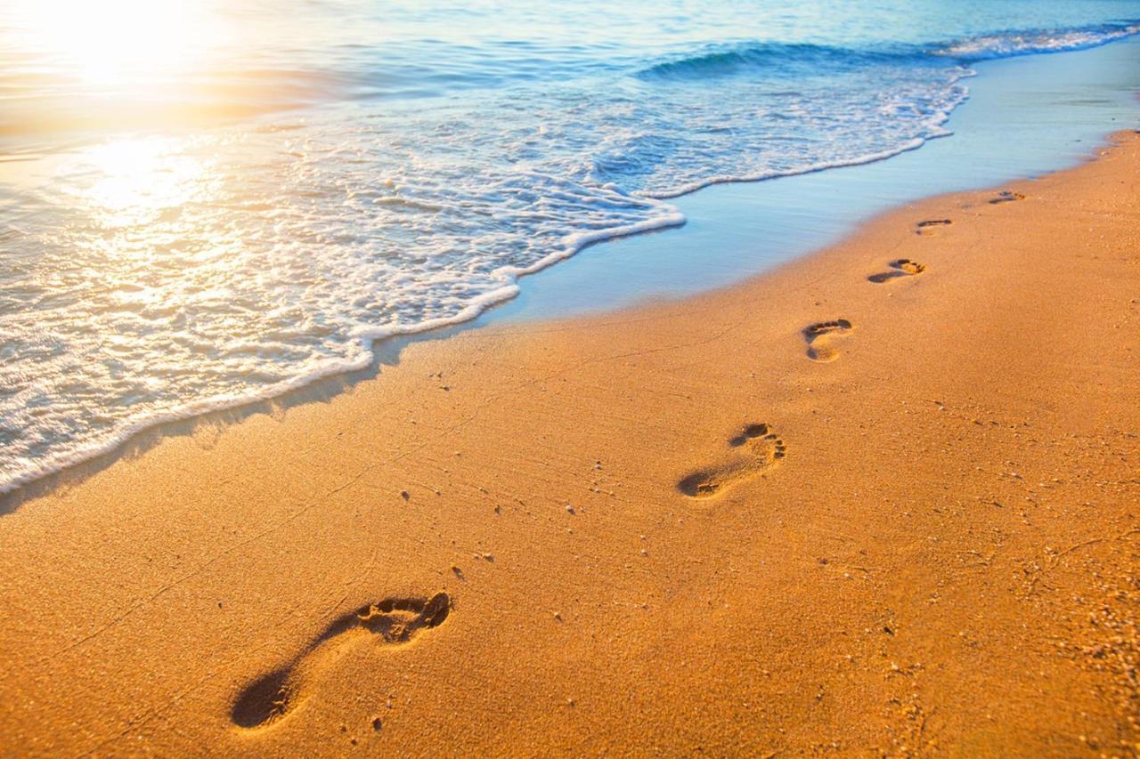 Miramar Beach Home Walk To Beach Trails Restaurants Family Activities Half Moon Bay Eksteriør billede